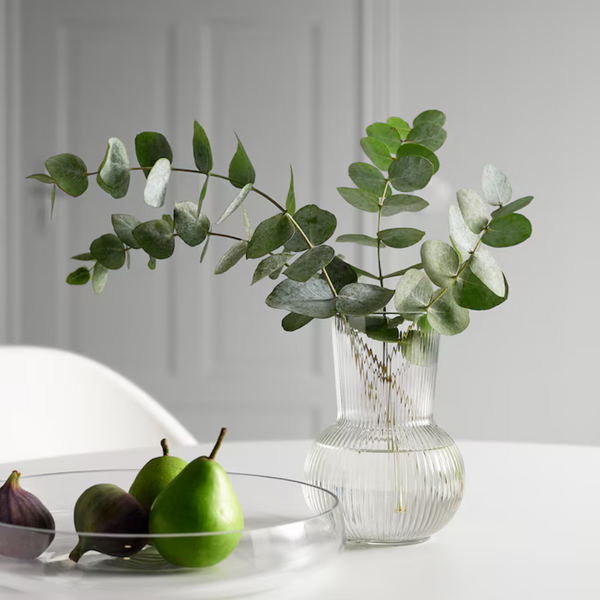 Sleek Round Base Long Neck Glass Vase